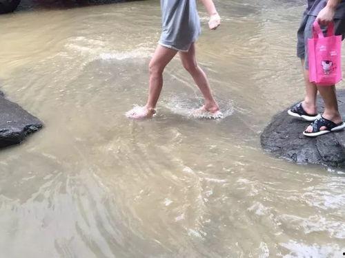 惠阳下水道爆料视频